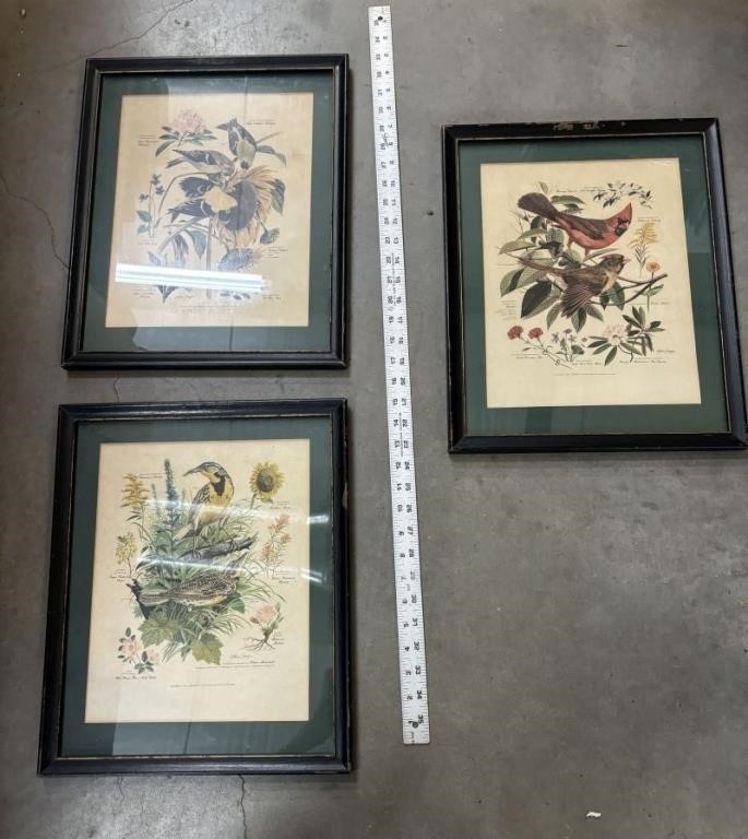 3 Vintage Arthur Singer Framed Nature Prints