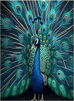 Peacock Canvas Art 20W x 30H - Bedroom Decor