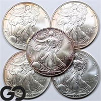 5-coin Lot, American Silver Eagles, TONED