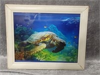 3D Turtles & Dolphins Picture