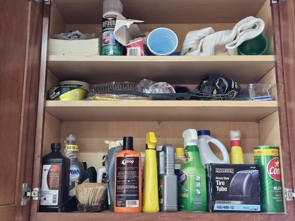 CONTENTS ONLY OF CUPBOARD OF CLEANING SUPPLIES