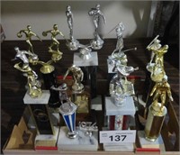 (12) Trophy's