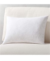 Throw Pillows Insert (Pack of 1, White) - 18 x 26