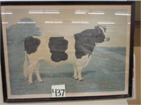 Holstein-Friesiean Bull True Type Framed Picture