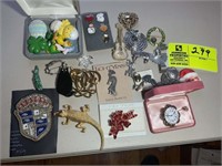 GROUP OF COSTUME JEWELRY BROOCHES AND PINS