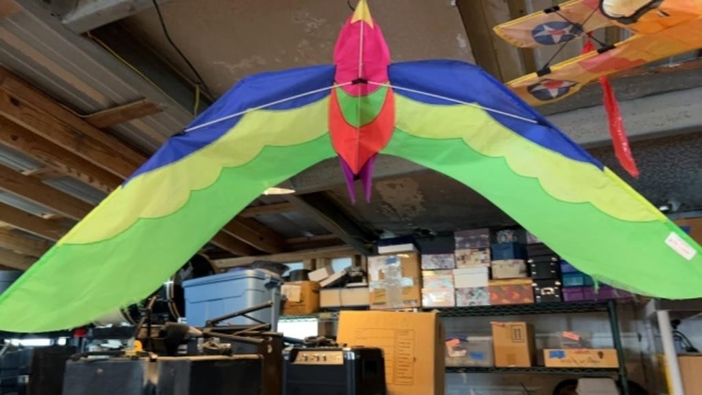 Multicolor Flying Bird Kite with 60in wingspan