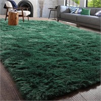 PAGISOFE Dark Green Area Rug for Bedroom, Living