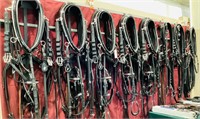 Freedman 5-in-Hand Stainless Steel Show Harness