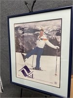 Framed Skiing Poster