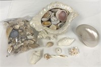 Shells, Shells and more Shells