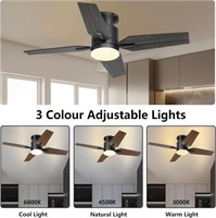Ohniyou Ceiling Fan With Lights