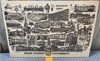 11 - UNFRAMED WAKE FOREST ART 16X23" (U1)