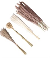 ($20) Dried Pampas Grass, Decorative Long L