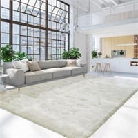 Terrug Fluffy Large Area Rugs for Living Room