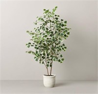 Faux Variegated Triangle Ficus Tree