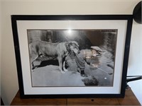 Large photo print of boy w dog