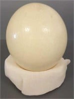 Large ostrich egg 6"x 5"