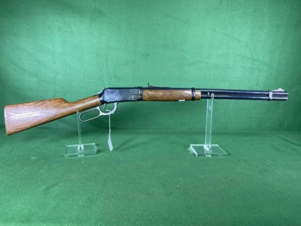 Daisy 1894 BB Rifle, BB's