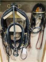 Freedman Small Pony Single Harness