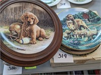 Dog Plates