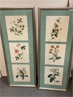 Pair, Framed Botanical Art Prints