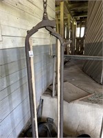 5 Dairy Cow Stanchions