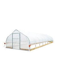 TMG 12'x40' Tunnel Greenhouse Grow Tent