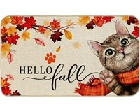 Hello Fall Cute Cat door mat slightly used