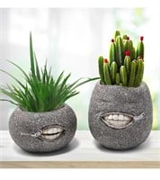 Unique Tooth Indoor Planter Pot Set of 2
