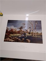 Wild Wings collection wood ducks print