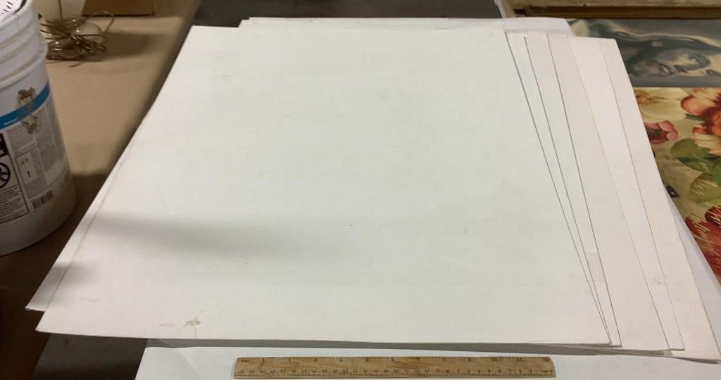6 poster boards  22.5X30