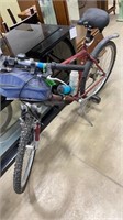 Schwinn Adult Bike