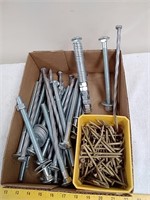 Group of hardware wood screws bolts spikes