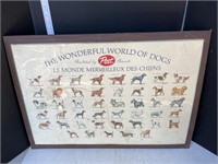 Post The Wonderful world of dogs poster
