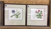 2 framed floral wall art 22.5x22.5