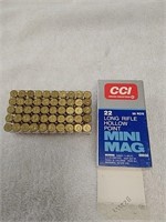 CCI 22 mini mag hollow point ammo
