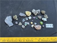 Rocks & Minerals, Trilobyte