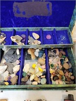 Box with shells Stones quartz