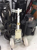 Golf cart caddy