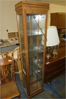 Glass display cabinet - 72" x 16" x 12"