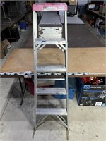 5' Aluminum Ladder