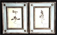 PAIR OF BOTANICALS IN PAINTED FRAMES