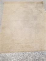 5x7 area rug could use a cleaning