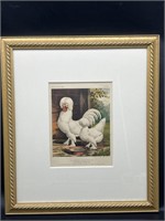 Antique Framed Print- Sultan Fowls Chickens