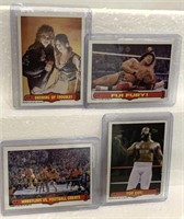 4-1995 WWF OPC CARDS