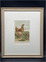 Antique Framed Print- Cinnamon Cochin Chickens