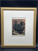 Antique Creve Framed Print- Coeurs Chickens