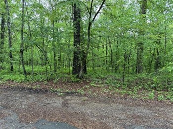 Home & 1.6AC at 784 Millcreek Road & 2AC on Tallent Place
