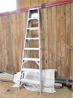 Werner Aluminum 8' Ladder