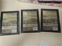 3pk picture frames